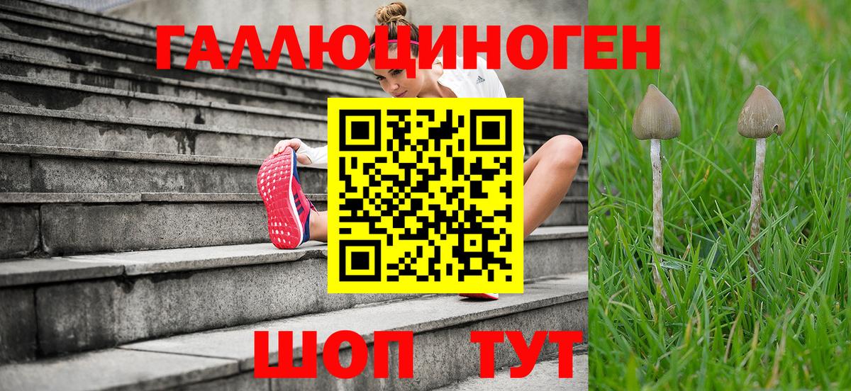 Псилоцибиновые грибы Magic Shrooms  Вход с VPN  Егорьевск 