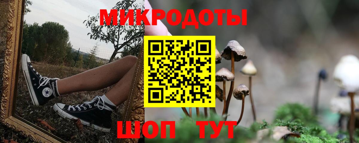 Псилоцибиновые грибы Psilocybine cubensis Егорьевск
